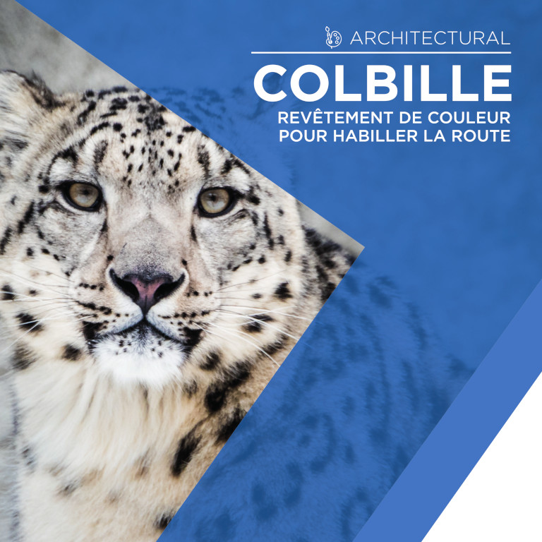 COLBILLE