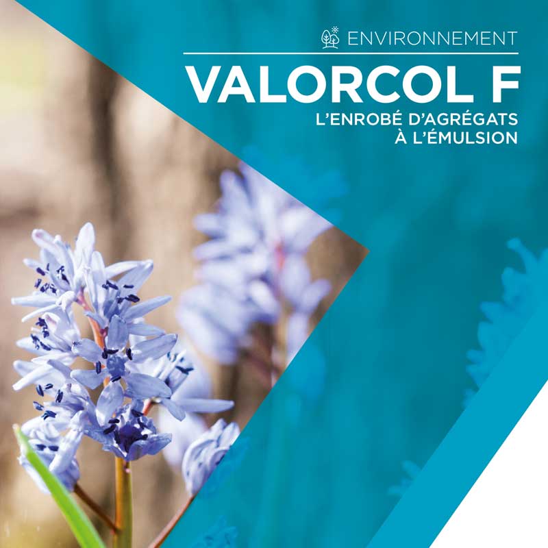 VALORCOL F®