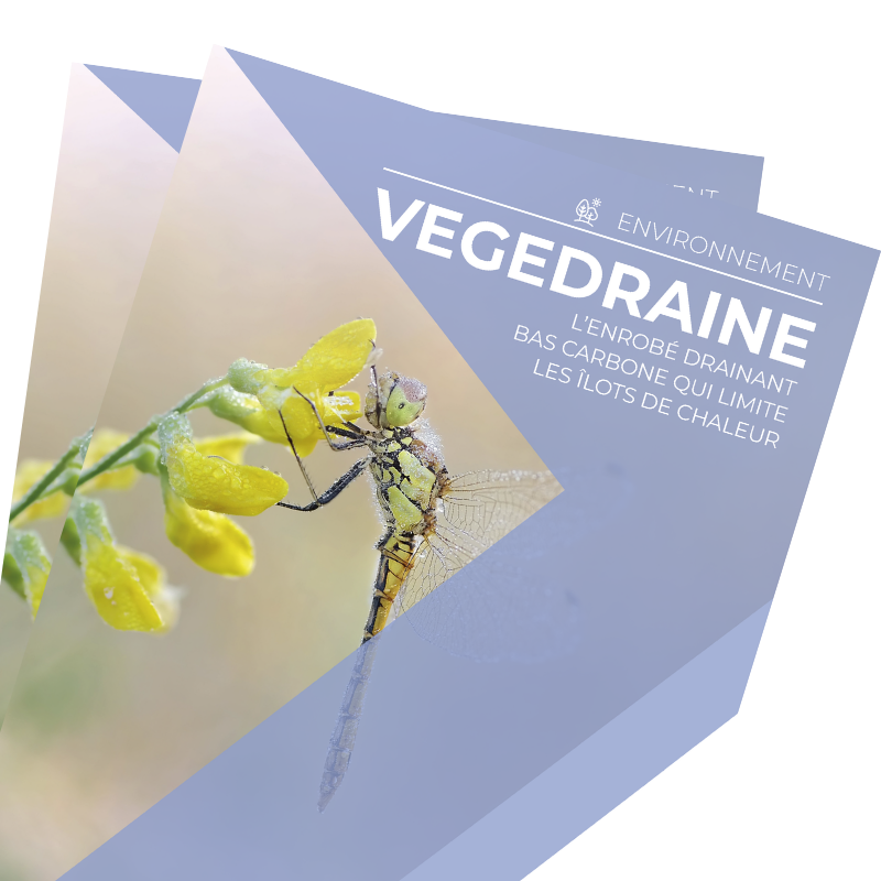 VEGEDRAINE