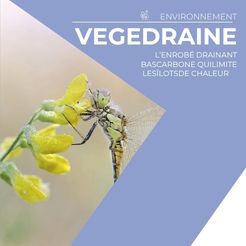 VEGEDRAINE